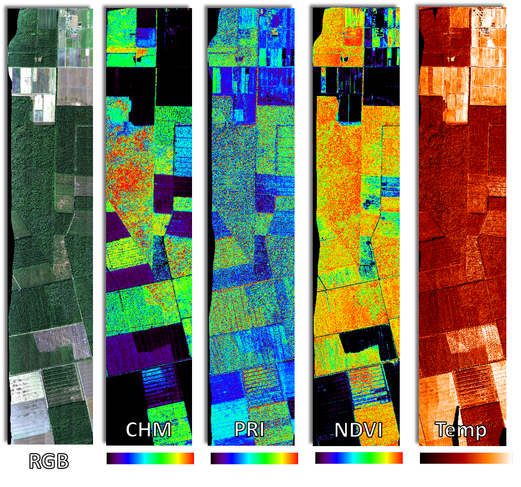 G-LiGHT data products image